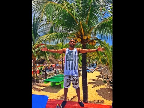 Job Killing Income: Watch This First