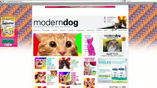 Kitty Cat HiJack   Case   Study