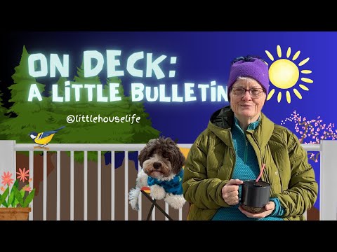 Little House Life: News & Notes From The Deck