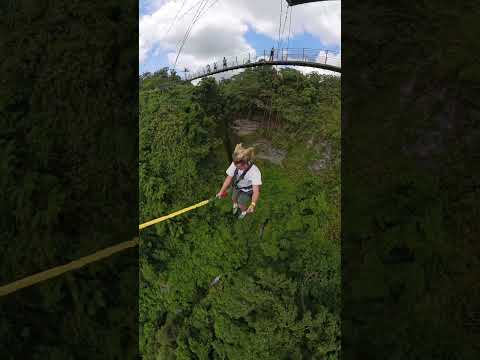 Would you try this?! 😄