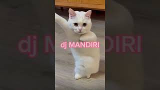 dj tik-tok 2024 viral jedag jedug#djjedagjedug#djbaratfullalbum #djbaratfullbass