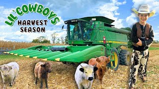 Little Cowboys Harvest Season! JOHN DEERE/TRACTOR/FARM/KIDS/LEARN/ANIMALS/HIGHLAND/BULL