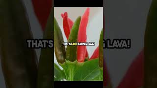 The World's Spiciest Chili Ever! #quickfacts #facts #randomfacts