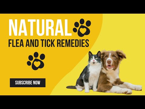 KILL FLEAS AND TICKS NATURALLY With These Remedies!