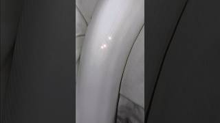 🤍🐍#piedballpython (reposted & edited vid)#snake #viralvideo #foryou #reptiles #animals #fypシ