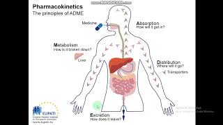 Pharmacokinetics(ADMET)|Routes of Drug Administration| Physicochemical properties| Medicinal Chem.5