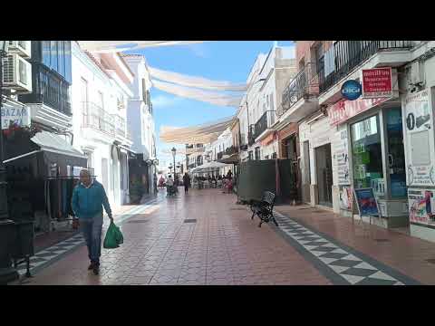 19 октября 2024 г.