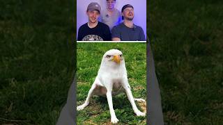 Don't Laugh ❗ | 70