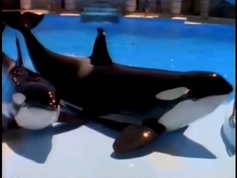 Anti captivity arguments debunked 1978-2006