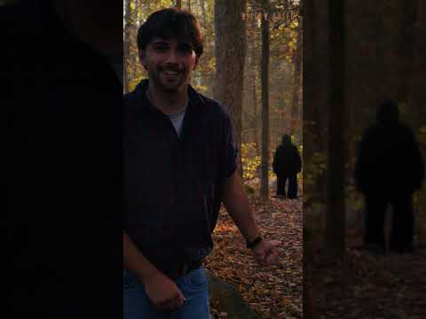 Drop everything and watch WILLOW CREEK | OUT NOW #horror #cryptids #bigfoot #paranormal