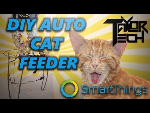 SmartThings Cat Feeder | Fully Automated! (DIY)