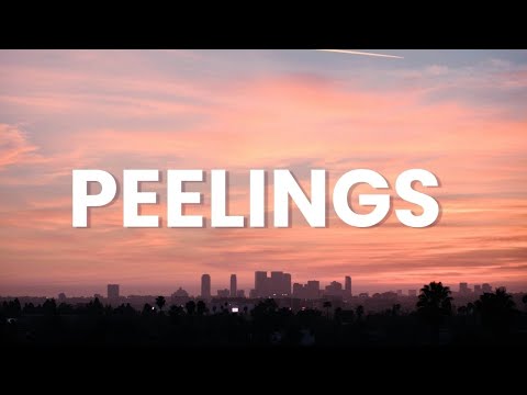 PEELINGS (Lyrics) | Hindi | Pushpa 2 The Rule
