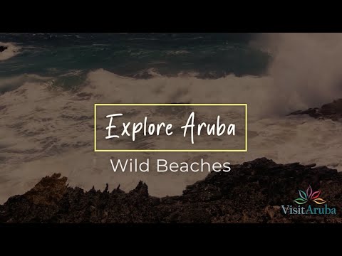 Explore Aruba - Wild Beaches