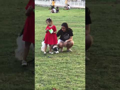 Featuring Kabankalan City Football Field #negrosisland #kabankalancity #petsofyoutube