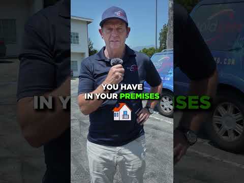Are You Dealing With a Mold Problem?