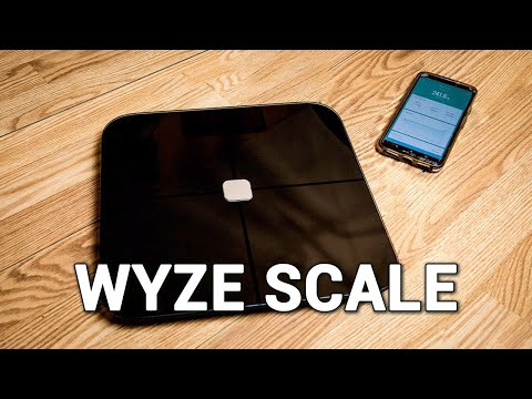 Smart Scale On A Budget - Wyze Scale