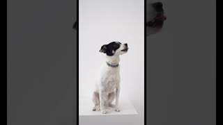 The Power of Mind:  Top Study Tip for Students #studytips   #learningmadefun  #studymotivation