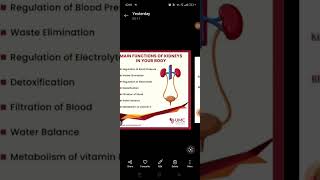what is kidney #smartclass #smartclass