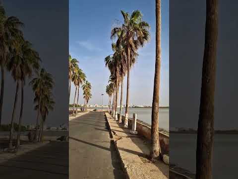 Saint-Louis, Senegal 🇸🇳🏝🐎#senegal #saint-louis #travel #podróże #konie #afryka #wakacje