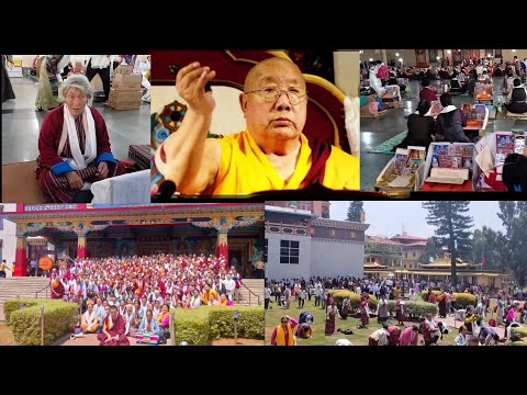 ཕྱི་ལོ་ ༢༠༢༣ ཟླ་ ༤ ཚེས་ ༨ ཉིན་ཐེག་མཆོག་རྣམ་གྲོལ་བཤད་སྒྲུབ་དར་རྒྱས་གླིང་དུ་སྔོན་འགྲོ་ཉིན་ཐ་མའི་སྐབས།