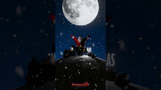 Merry Christmas From ProteaSkill