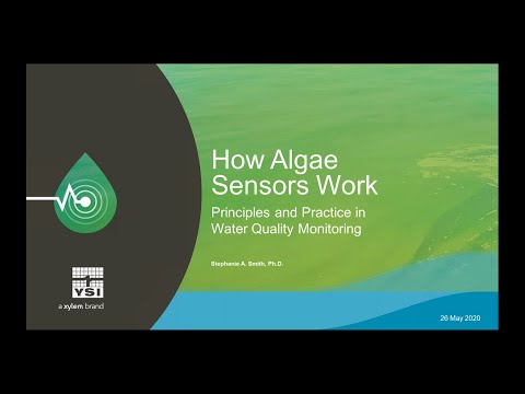 Webinar - How Algae Sensors Work - Water Quality Monitoring with YSI