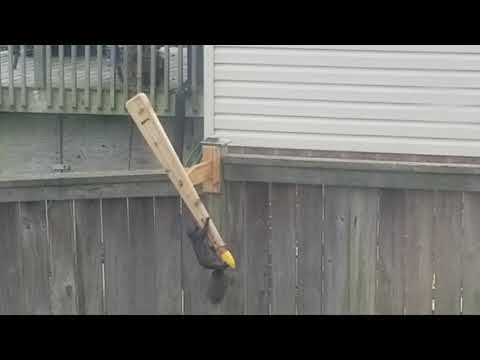 Squirrel Twirler