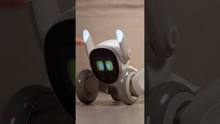 Enrich your pet's playtime with innovative pet robots！#petrobot #keyitech #loona