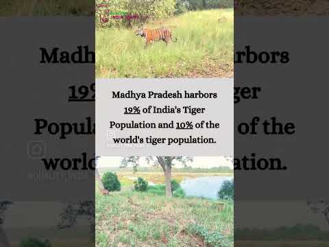 Travelling to Madhya Pradesh is a chance to disconnect from the world and reconnect with nature.🌴