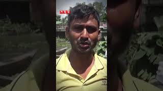 ভাসমান বাজারে আমড়ার রাজত্ব! #jhalokati #amra #fruit #somoytv #shorts #reels