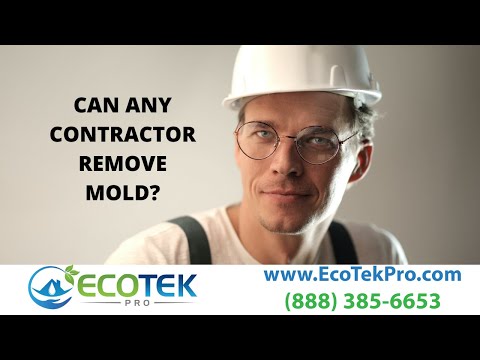 Can any contractor remove mold?