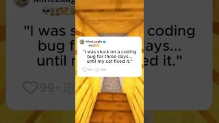 My Cat Accidentally Fixed My Coding Bug || #catsoftiktok #codinghumor #shortstory