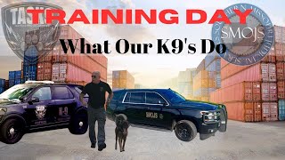 Can This Dog Find It? Inside a Professional K9 Program