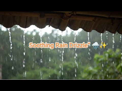 ASMR - Soothing Rain Drizzle