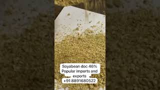 Top Soybean Meal Exporter Worldwide