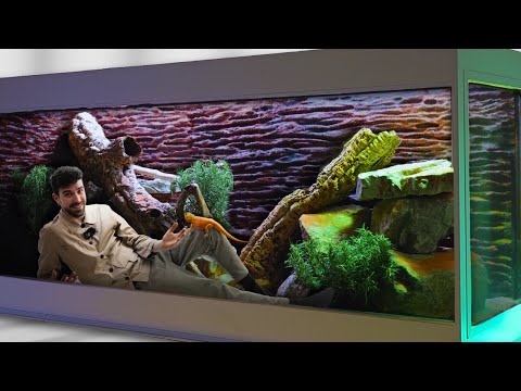 🌿 RESCAPING MY BEARDED DRAGONS HOME | TERRAQUAMAN