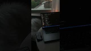 Coding✨#codingtutorial #codinggirl #codinglife #coding #softwareengineer #typescript #womenintech