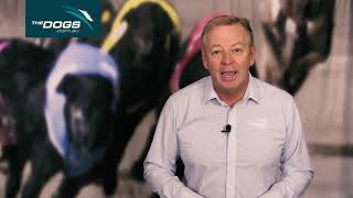 TheDogs.com.au Week In Review with Mark Duclos 26072021