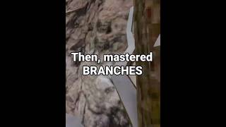 First ground, then branches, NOW, WALLS! #gorillatag #gorillatagquest #gtcs #gtag #vr