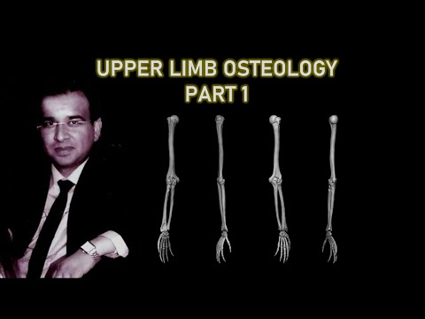 UPPER LIMB OSTEOLOGY 1