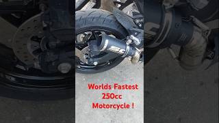 Kawasaki ZX25R Ninja!                        New SC Exhaust 😎 #kawasaki  #trending  #bikelife