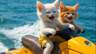 KITTY ADVENTURES 😻🙀 #cats #shorts #cutecat #catlovers #aicat #cartoon #funny #catvideos