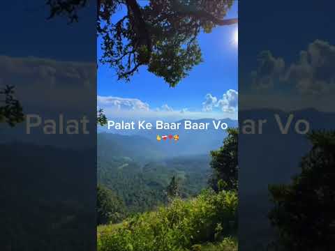 Jo Dekhe Akk Barr Ko 🥰❣️Hindi Lyrics Song/Hindi Lyrics Status #shortvideo