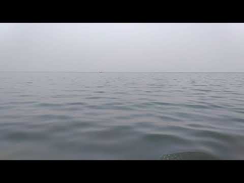 Chilika diaries