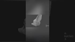 Stylized 3d Fox Head #furry