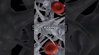 Blood Clotting - Myth vs Science !