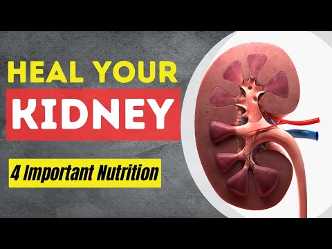 IMPORTANT Nutrition to BEAT Chronic Kidney Diseases