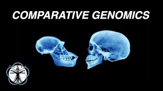 Evan Eichler: Comparative Genomics