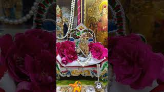 Krishna shorts #shyam #shorts #radheshyam #programerved