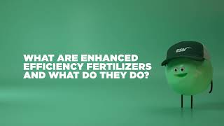 What are enhanced efficiency fertilizers?
